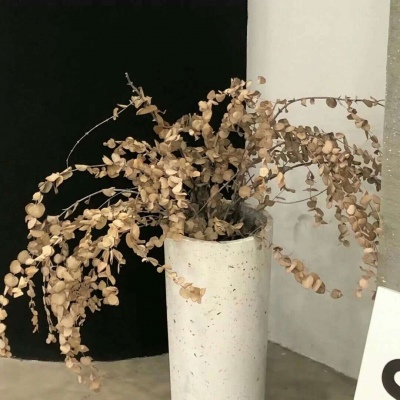 兽设简约风格设计Furry群